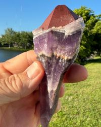 Auralite 23 Red Cap Crystal Wand Point 165 Grams 5 inches