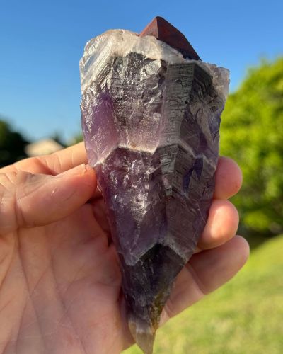 Large Auralite 23 Red Cap Crystal Wand Point 191 Grams 5.5 inches