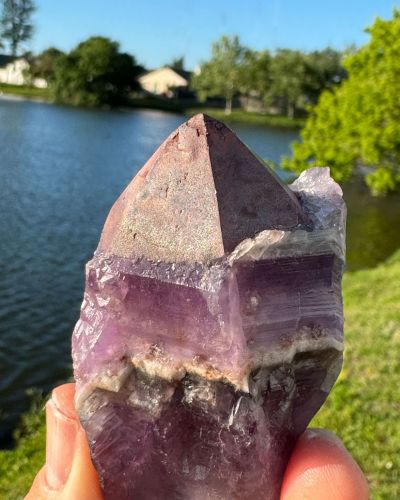 Auralite 23 Red Cap Crystal Wand Point 148 Grams 4.5 inches